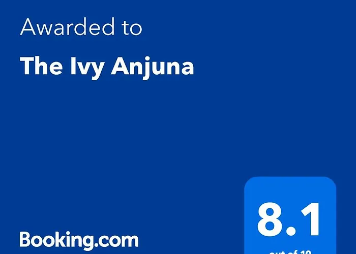 The Ivy Anjuna